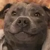 Kristin Peter - @kristin.peter11 - TikTok