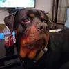 Kristine Plummer - @kristine.plummer - TikTok