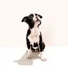 Kristin Pool - @wintertheboston - TikTok