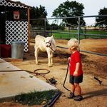 Kristen Ramey - @dunegirl82 - Instagram