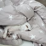 Kristin - @kristin_staub_ - Instagram