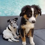 Kristin Stenzel - @stenzelkristin - Instagram