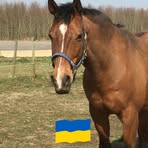 Kristina Stenzel Huke - Facebook