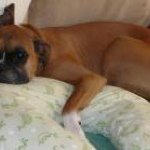 Kristina Willman Mouser - @kristinawillman - Instagram