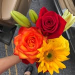 Kristen Witkowski - @livesimplywell - Instagram