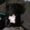 Kristin Wright - @kristin.wright21 - TikTok