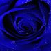 Kristina Baum - Facebook