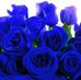 Kristina Baum - Facebook