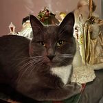 Christina Burrows Sudbury - @burrowssudbury - Instagram