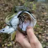 fishy_fishing24 - @kristinaconroy5 - TikTok