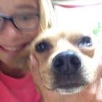 Kristina Conroy - @paco_a_dog - Instagram
