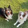 Kristina Cramer - @blakeandruger - TikTok