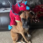 Kristina Cramer-Petersen - @pepsflame - Instagram