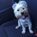 Christina T Devault - Facebook