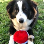 Kristina Elder - @rocketaussie - Instagram