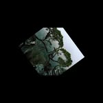 Christina Faust Hasselbach - @christina_hapunkt - Instagram