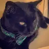 kristinakeyes - @kristinakeyes - TikTok