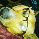 Kristina  Patrick - @chico_1986_2007 - Instagram