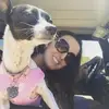 Kristina Pyle-Vossler - @kristinavossler - TikTok