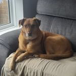 Kristina Read - @kread67 - Instagram