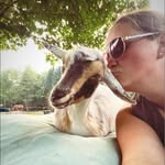 Kristin Yoder - @felixandtrixie - Instagram