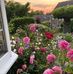 Christine Coe - Facebook