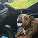 Christina Compton - Facebook