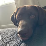 Kristine Hare - @thecoloradolover - Instagram