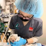 Kristin Harmon - @vettechtrainer - Instagram