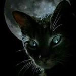 Kristine Hoffman - @hoffman.kristine - Instagram