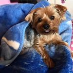 Kristine Tracy Lambert - @kristinelambert1 - Instagram