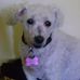 Kristine Main - Facebook