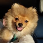 Christine Mastroianni Morrill - @mastroiannimorrill - Instagram