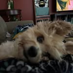 Christine Morrill Martinez - @cfooey4 - Instagram