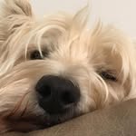 Kristine Brown Pace - @kbpace312 - Instagram