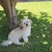 Christine Sutton - Facebook