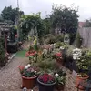 Christine Todd - @christine.todd - TikTok