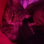 Kristine Storme Todd - @storme139 - Instagram