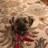 Kristine Wakeley907 - @kristinewakeley - TikTok