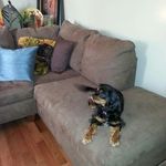 Kristine Ware - @warekristine - Instagram