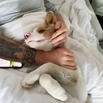 kristof - @kristofer_lim00 - Instagram