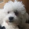 kristopheranthony - @kristopheranthony75 - TikTok
