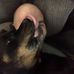 Christopher Bowen - Facebook