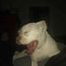 Christopher Patrick Duke - Facebook