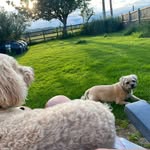 Christopher Emerson - @chrisemerson53 - Instagram