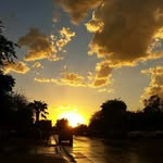 Christopher Erwin - @the_noemad - Instagram