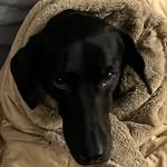 Christopher Fields Aas - @christopherfieldsaas - Instagram