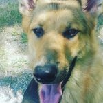 Kristopher Pelland - @kristopher_gaither - Instagram