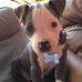 Christopher Horn - Facebook