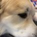 Kristopher Hughes - Facebook